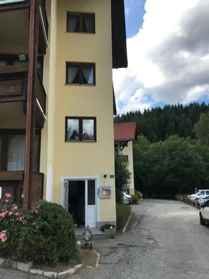 Eisenstein Apartment Bayerisch Eisenstein Exterior photo